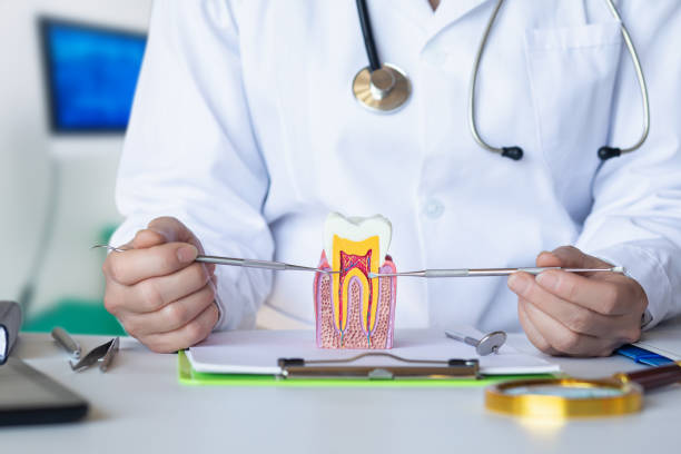 Best Emergency Treatment for Dental Infections or Abscesses in Laramie, WY